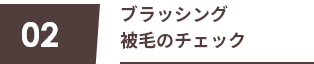 02 ブラッシング 被毛のチェック