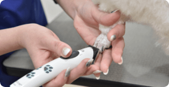 爪切り・足裏バリカン