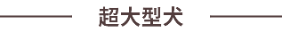 超大型犬