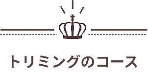 トリミングのコース