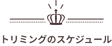 トリミングのスケジュール