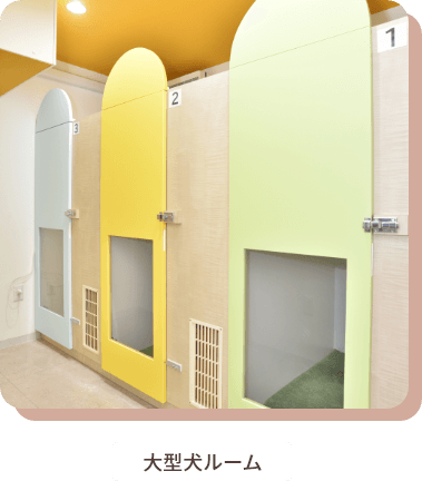 大型犬ルーム