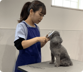 お腹・肛門バリカン