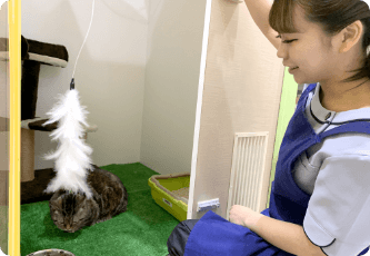 ネコちゃんと遊んでいる様子