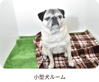 小型犬ルーム