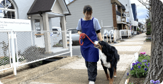 ブラッシング 被毛のチェック