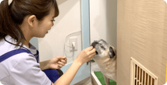 爪切り・足裏バリカン