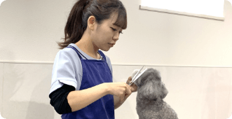 お腹・肛門バリカン