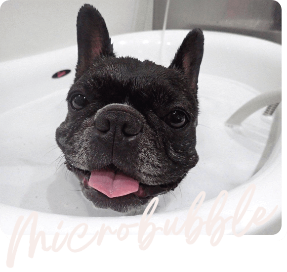 マイクロバブル浴