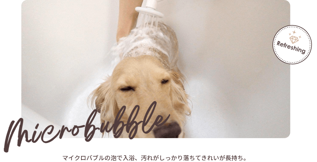 写真：マイクロバブル浴の様子