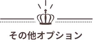 その他オプション