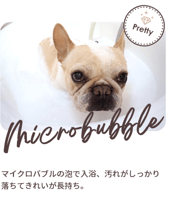 写真：マイクロバブル浴の様子